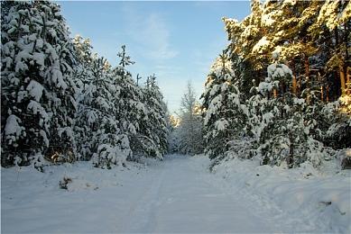 《光与影：33号远征队》实际销量已经突破440万份