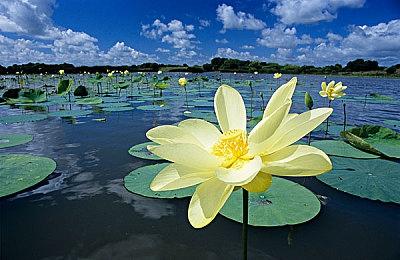休闲管理冒险《熊与早餐》12月12日登陆PS主机